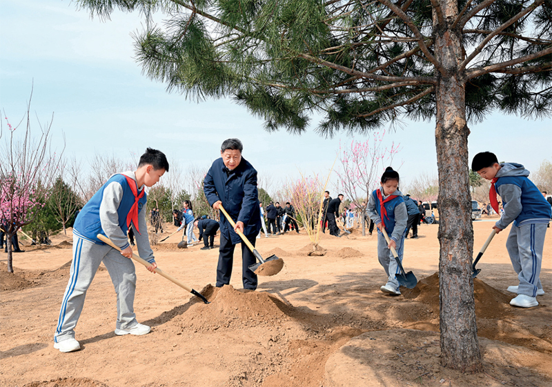 DG����(�й���)����