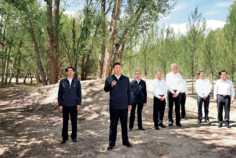 DG����(�й���)����